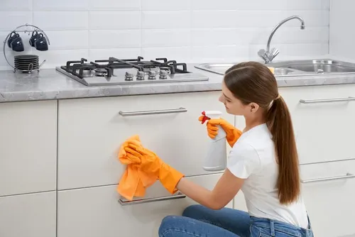 Professional home deep cleaning service